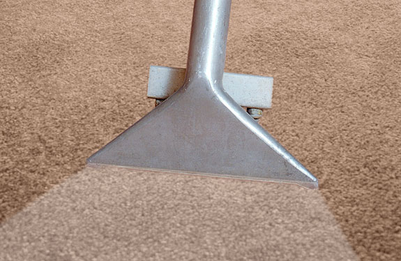 Carpet Cleaning 56