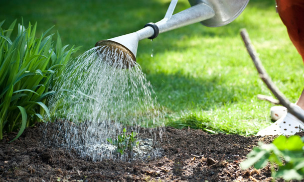 Watering