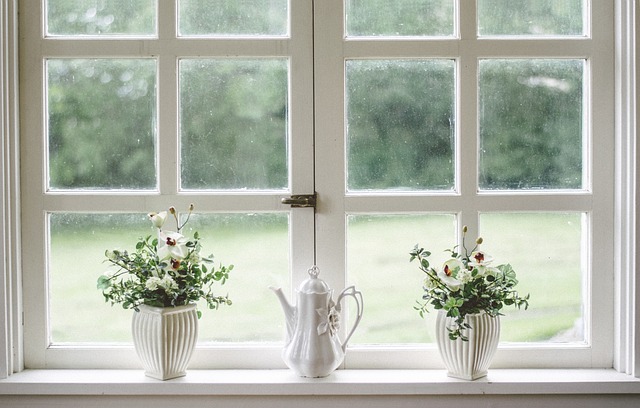 windows